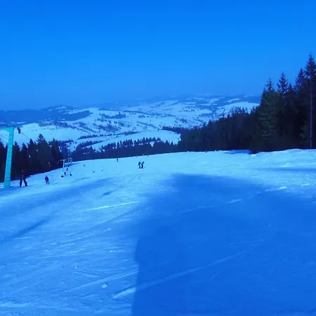 Magura Pylypets Hotel *